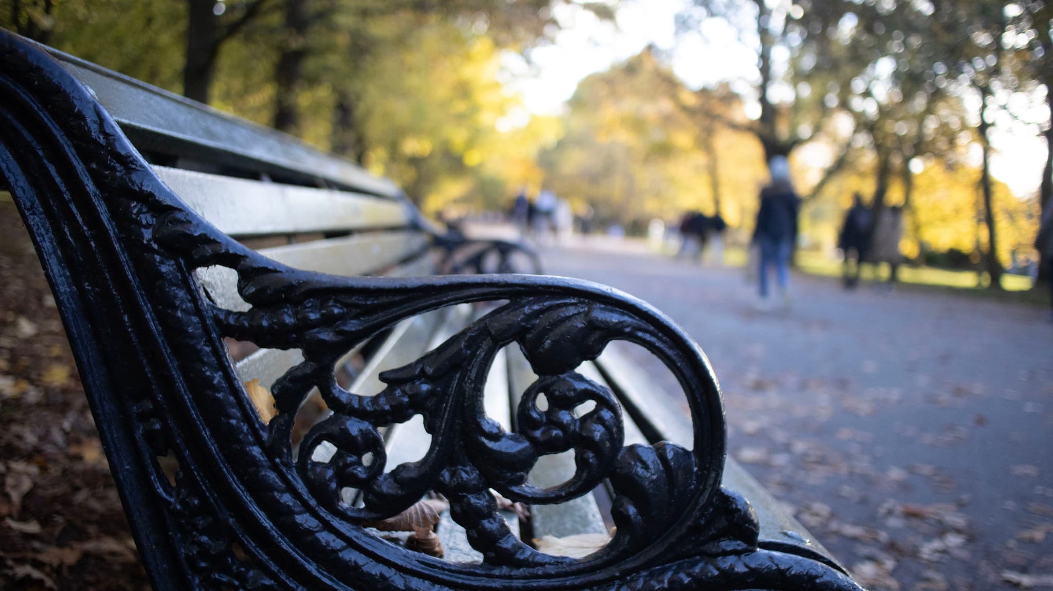 A park bench with ornate metal armrests in focus, with a blurred background featuring trees with autumn leaves and people in the distance